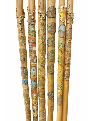 Gruppo di sei bastoni da passeggio d’epoca, realizzati in legno naturale con placche e stemmi metallici lungo il fusto